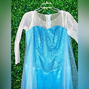 Customized Frozen’s Princess Elsa’s Dress - Size Large | Detailed Handmade